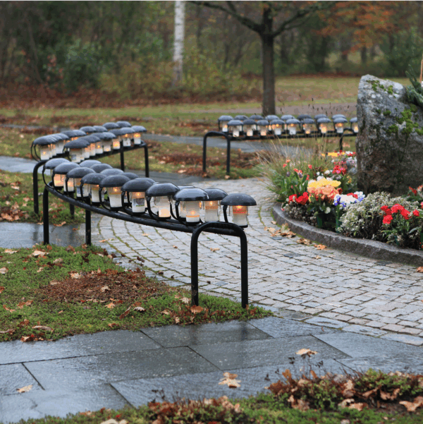 Ljusbåge Asarum - Bild 3
