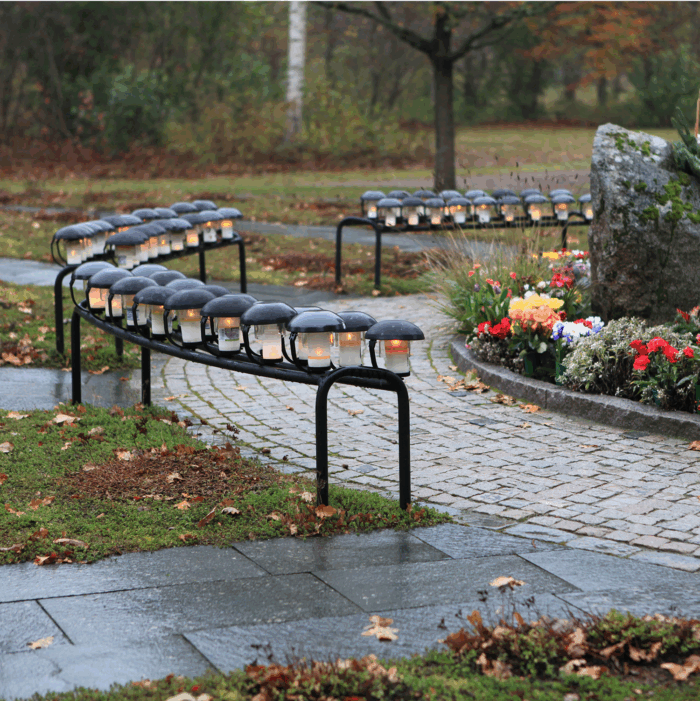 Ljusbåge Asarum - Bild 4